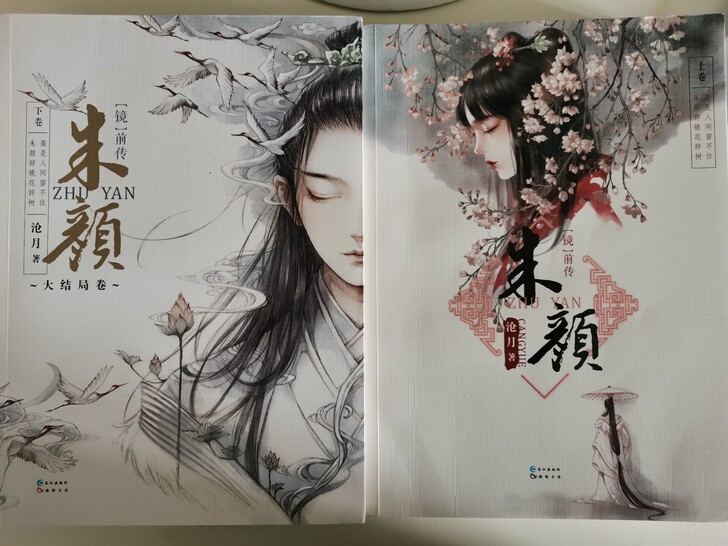 含上下两册的小说（封面都超好看）：