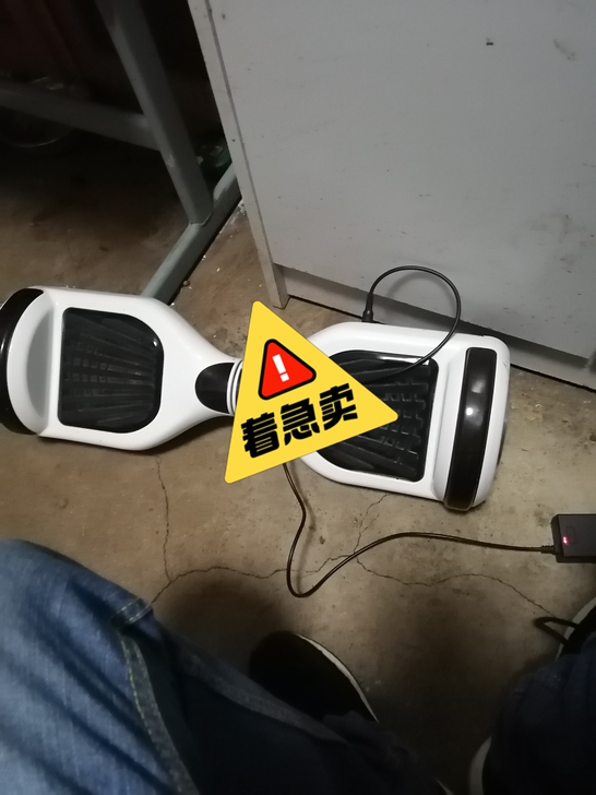 智能平衡车，电池充不上电，当废品处理180...