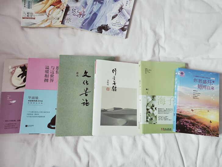【出】《文化苦旅》《行者无疆》《海子诗集》...