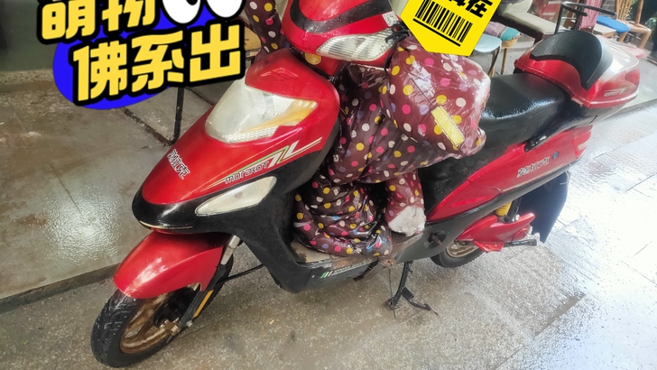 二手电动车莫拉克一辆,无大破损,杭州黄牌照...