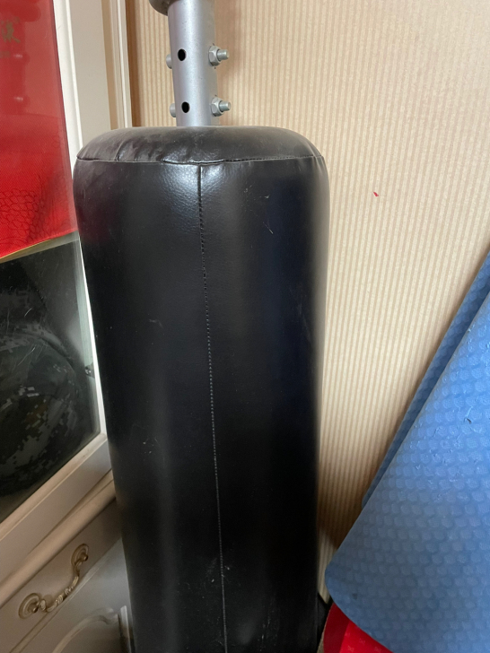 拳击 沙袋 家用 立式 买成260多 10...
