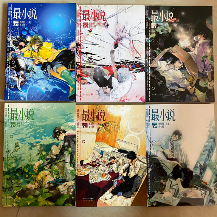 最小说2007年，几乎全新