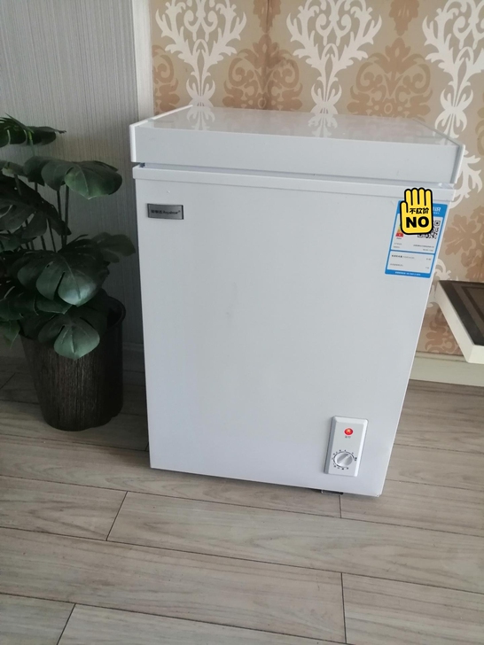 【全新未拆封】特价处理家用冷柜小冰柜家用小...