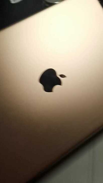 出ipad2020.金色.买前想用来学习的...