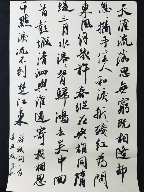 书法#折扇#篆刻#行书#小楷#印章