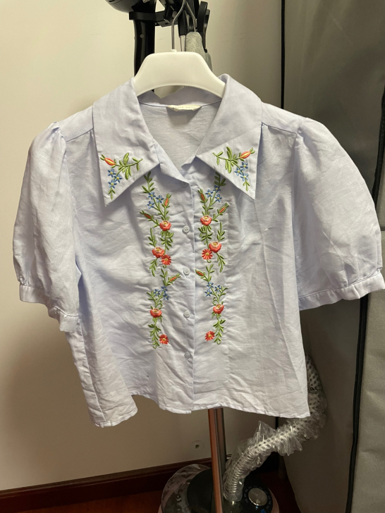 绣花蓝短袖衬衫