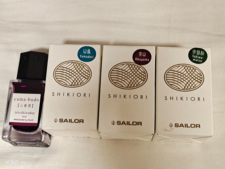 sailor/写乐 写乐四季彩常盘松 奥山...