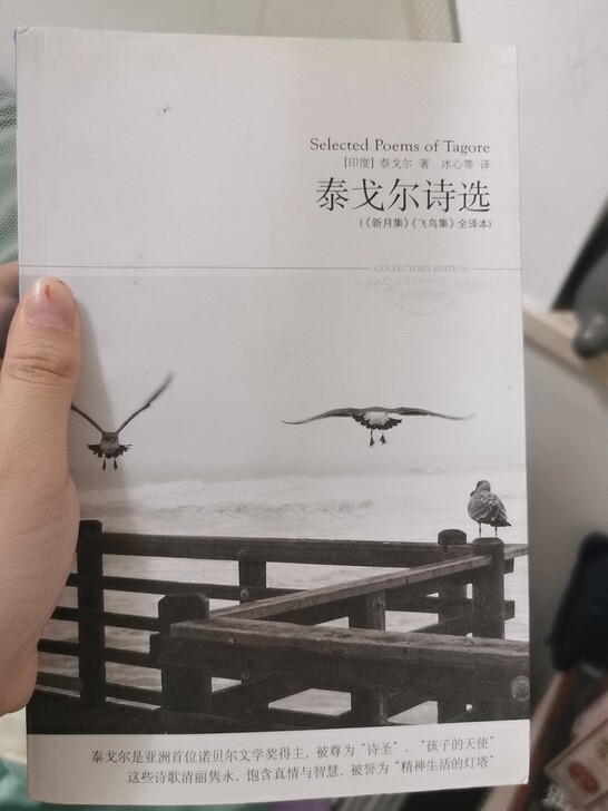 泰戈尔诗选 正版