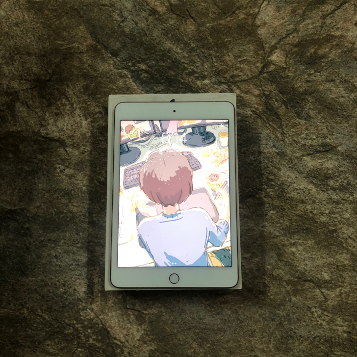 99新ipad mini5 插卡版 64G...