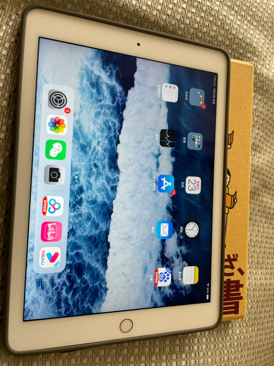 自用八五新iPad Air2 金色 32G