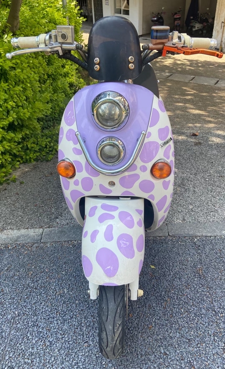 新日牌电动车,60伏电动车,全新电瓶,价格...