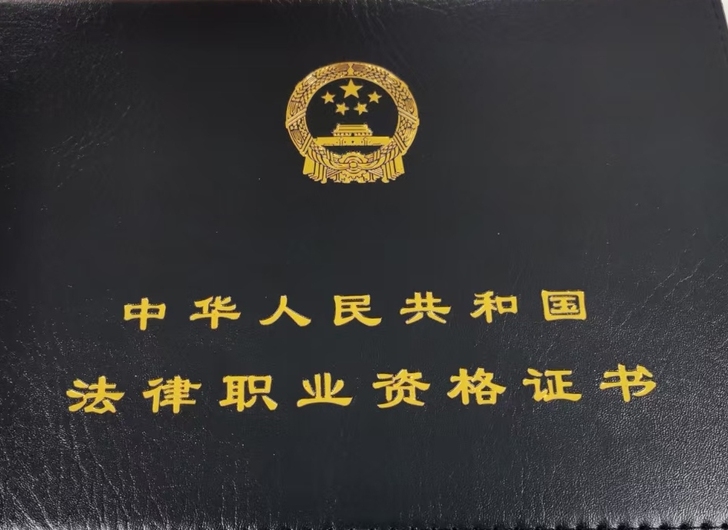 法考咨询 辅导