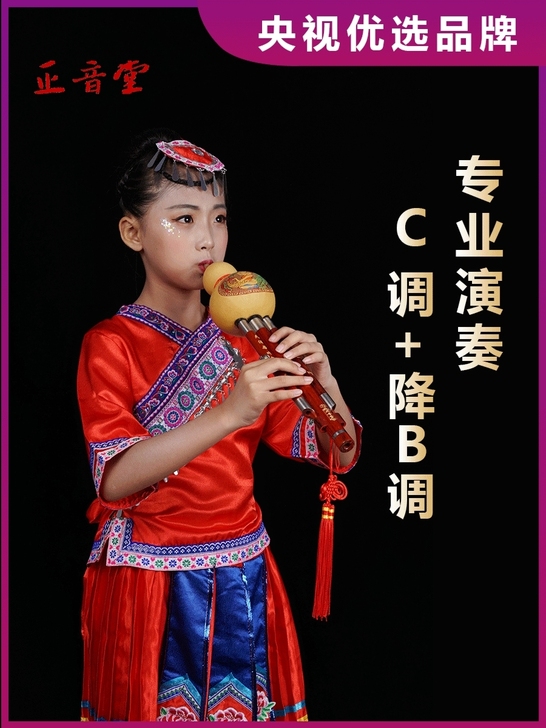 全新 正音堂葫芦丝乐器降B调C调云南厂家直...