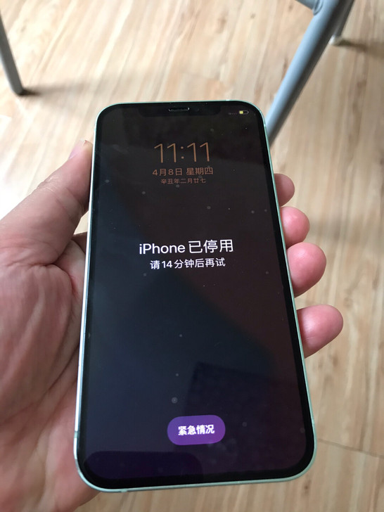 苹果12，256G