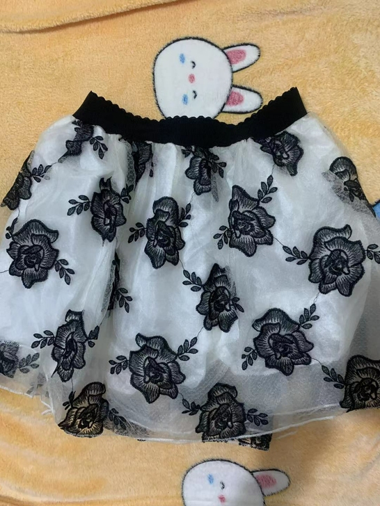 短裙半身裙纱裙仙女裙春秋夏冬一年四季都可以...