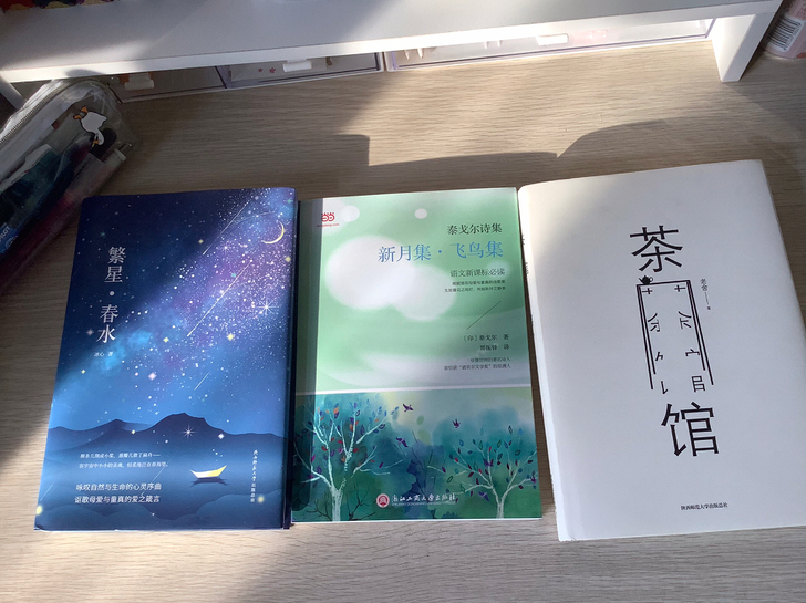 繁星春水 飞鸟集新月集 茶馆