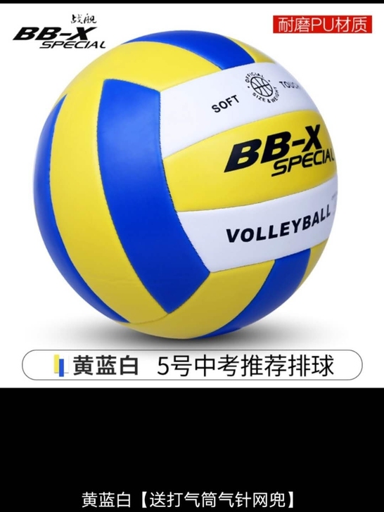 排球(送气筒+送气针+网兜)