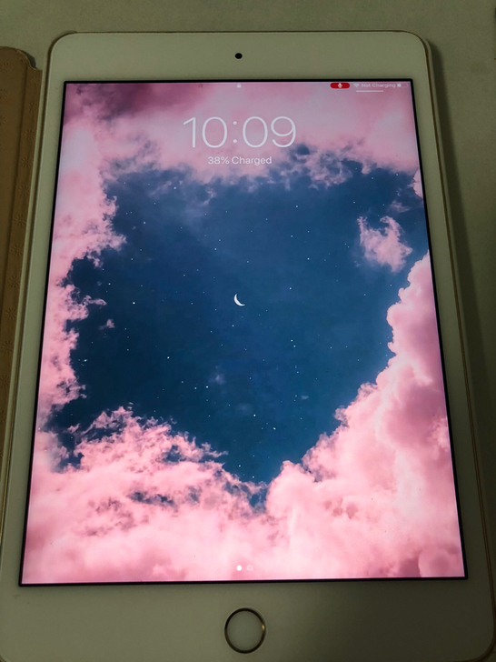 ipad mini4