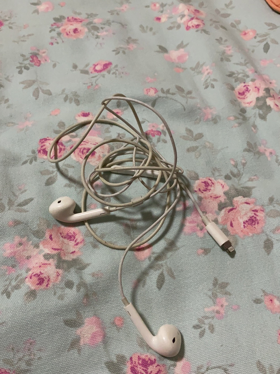 iphone耳机有线 76购入 35出 不...