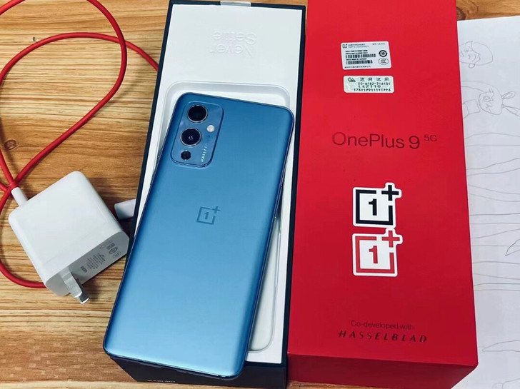 一加9 OnePlus9（5G）大陆国行 ...