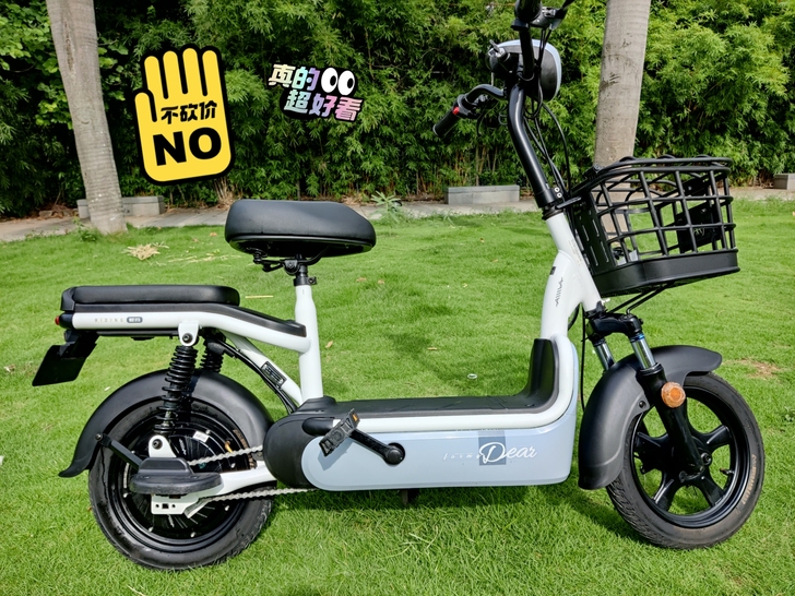 爱玛新国标电动车，车况很新，满电可以跑30...