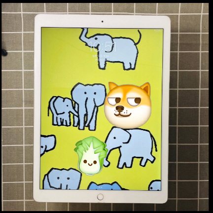 自用ipad2018款平板128g闲置二手...