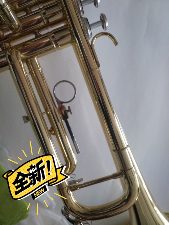 初学考级学生吹奏神器，雅马哈2335漆金小...