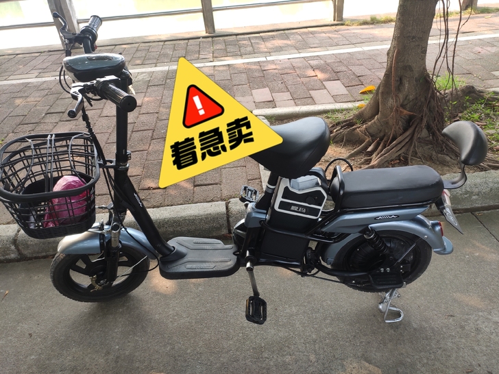 爱玛电动车，刚入手几个月，续航30公里左右...