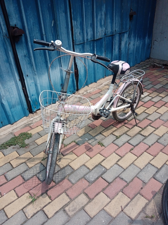 20粉彩折叠车，7，8成新，稍加维护，骑行...