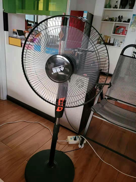 亏本大甩卖！！！惊现萝卜白菜价，全新落地电...