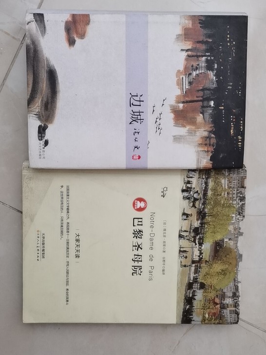 《边城》和《巴黎圣母院》高中时候买的，里面...