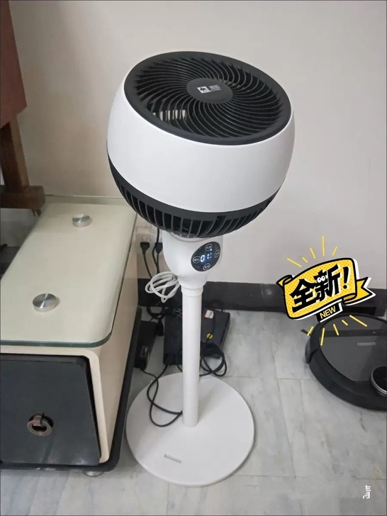 出10台骆驼空气循环扇电风扇家用遥控定时落...