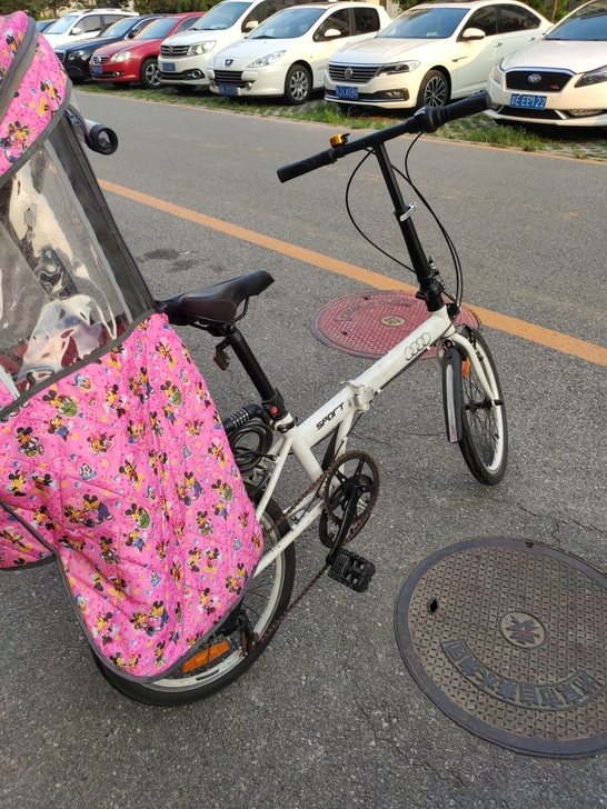 大行P8，折叠自行车，20寸小钢炮，禧玛诺...