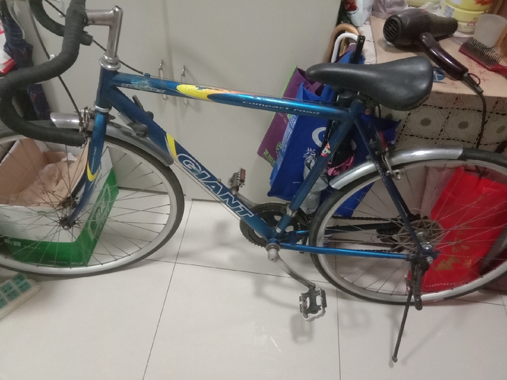 捷安特speeder-x公路赛，捷安特第一...