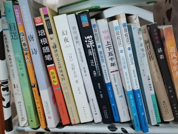 小说幻夜东野圭吾。阿甘正传。活着余华。追风...