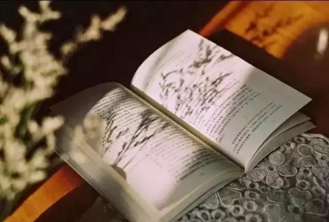 写文章演讲稿征文读后感书评散文调研报告汇报...