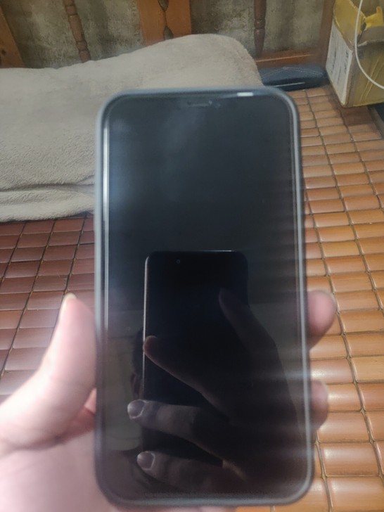 Apple/苹果 iPhone 11绿色国...