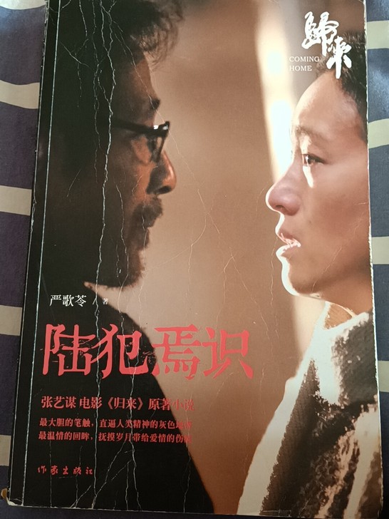 陆犯焉识      可议价