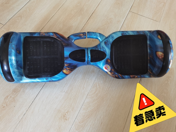 电动自平衡车_蓝牙_遥控 无破损 9.9成...