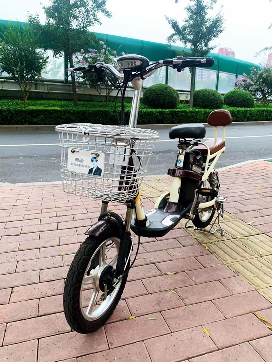 雅迪电动车 电瓶车