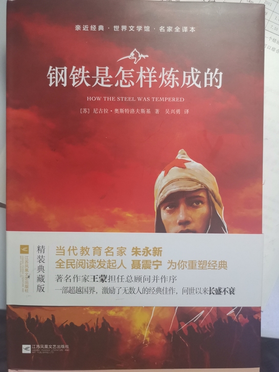 初中必读读物《钢铁是怎样炼成的》