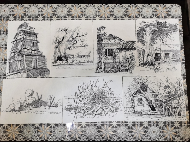出以下钢笔速写作品 有临摹有写生 尺寸是2...
