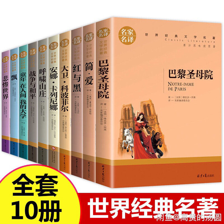 世界十大名著 简爱 巴黎圣母院 战争与和平...
