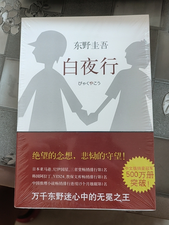 东野圭吾名著《白夜行》
