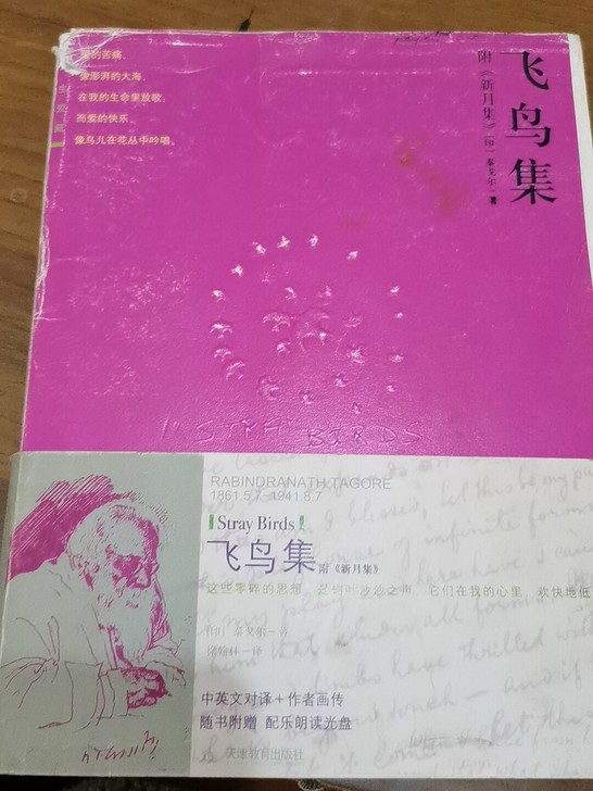 飞鸟集初高中必读课本