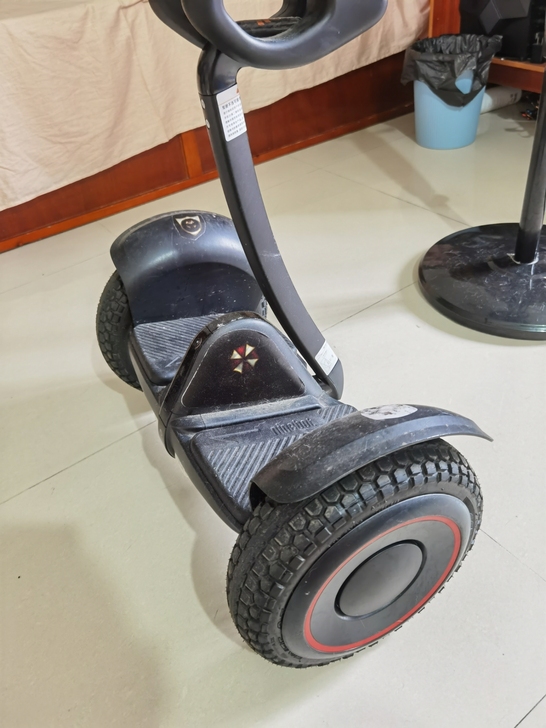 九号平衡车燃动版,实况如图,有充电器,骑行...