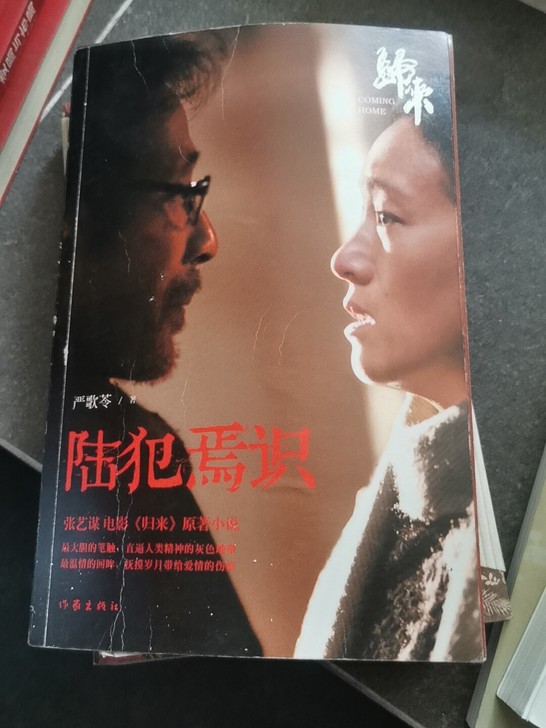 陆犯焉识 严歌苓小说 7成新 原价38 不...