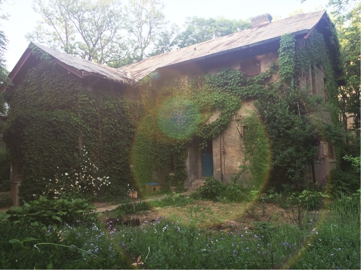 英语听说读写及雅思托福考研英语考试