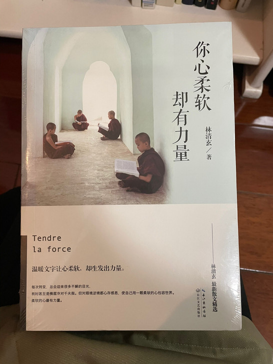 你心柔软 却有力量 林清玄散文 不包邮 未拆