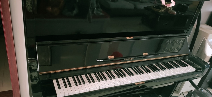 出售钢琴，一切正常  放的时间长了需要调音...